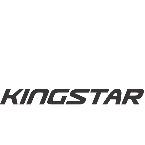 kingstar